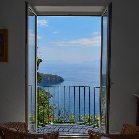 Il Giardino Selvatico Di Succellario - Apartments Barano d'Ischia Exterior photo