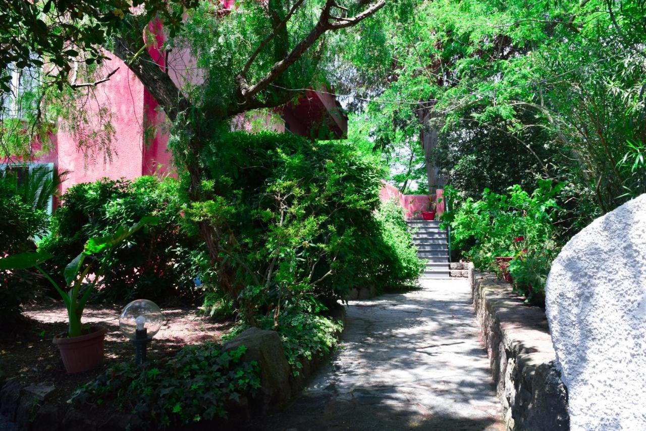 Il Giardino Selvatico Di Succellario - Apartments Barano d'Ischia Exterior photo