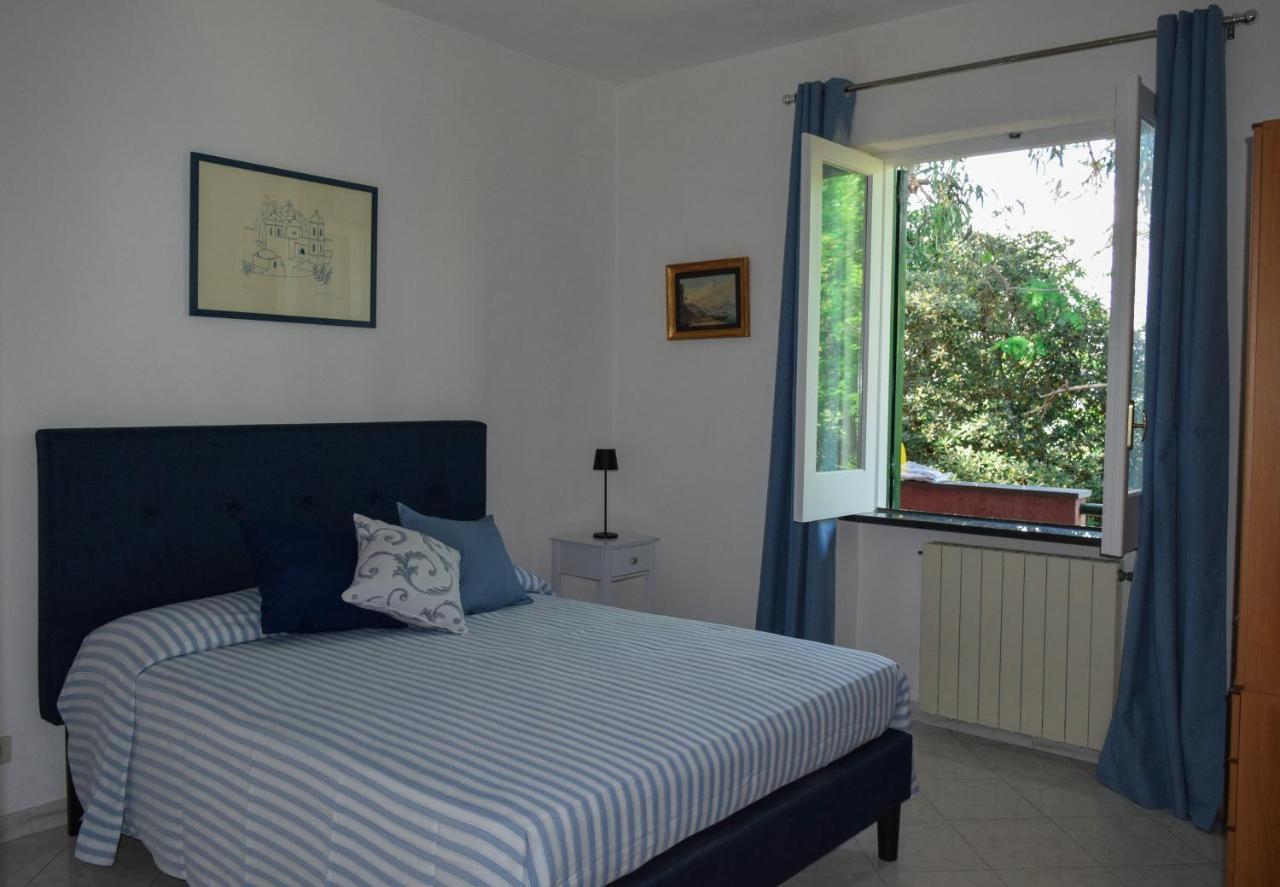 Il Giardino Selvatico Di Succellario - Apartments Barano d'Ischia Exterior photo