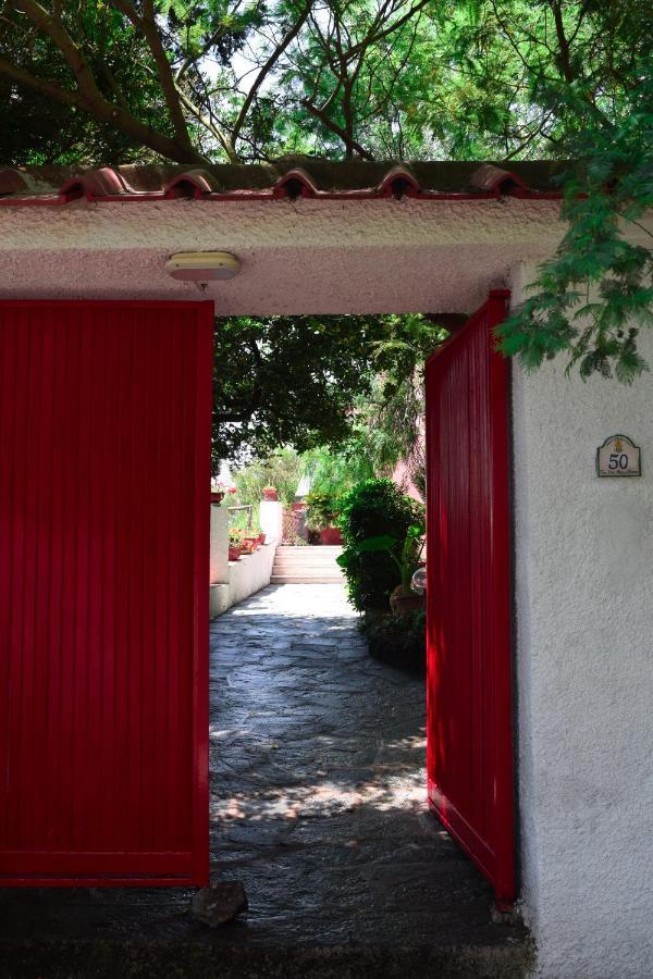 Il Giardino Selvatico Di Succellario - Apartments Barano d'Ischia Exterior photo