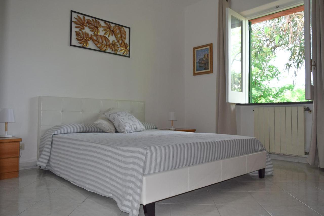 Il Giardino Selvatico Di Succellario - Apartments Barano d'Ischia Exterior photo